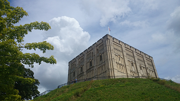 A scuare castle sitting on top of a gree hill. To the left is a tree with lots of green leaves.