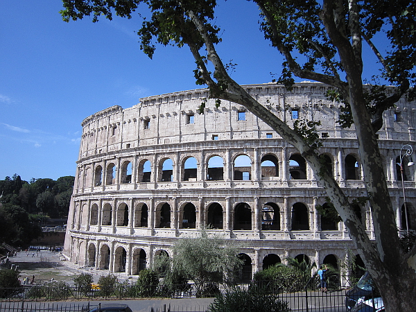 The Colosseum, with a tree in front of it.