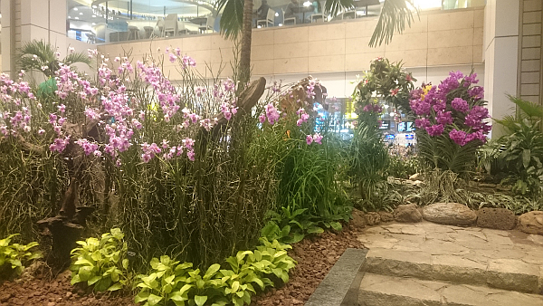 From the "Enchanted Garden" at Singapore airport, terminal 2. Photo: Mittens and Sunglasses © 2017