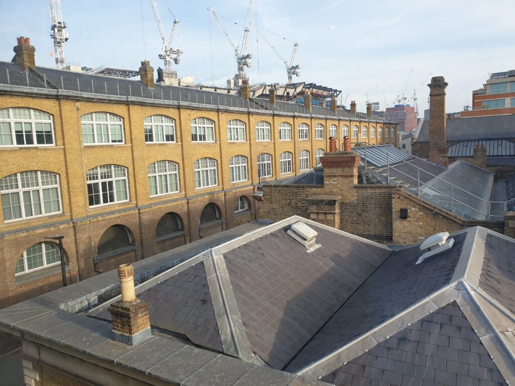 Brick buildings bathed in sun.